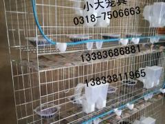 出售兔子笼鸽子笼鸡笼鸭笼鹌鹑笼鹧鸪笼猫笼狗笼鸟笼鹦鹉笼八哥笼
