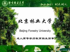 北京林业大学成人高考函授学历园林艺术设计专业招生
